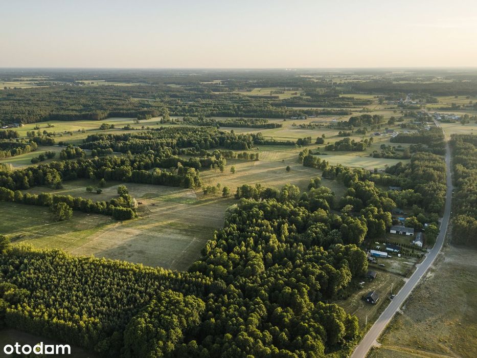Urokliwa działka 1294 m WZ przy lesie, Anastazew - Więcej