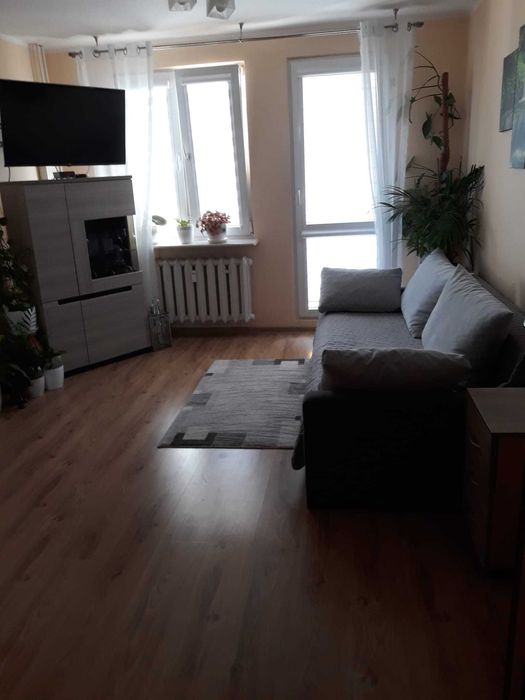 Wynajem mieszkania REZERWACJA