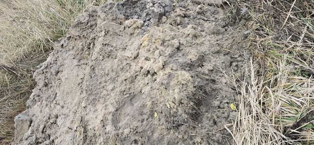 Oddam ziemię za darmo Aleksandrów Łódzki