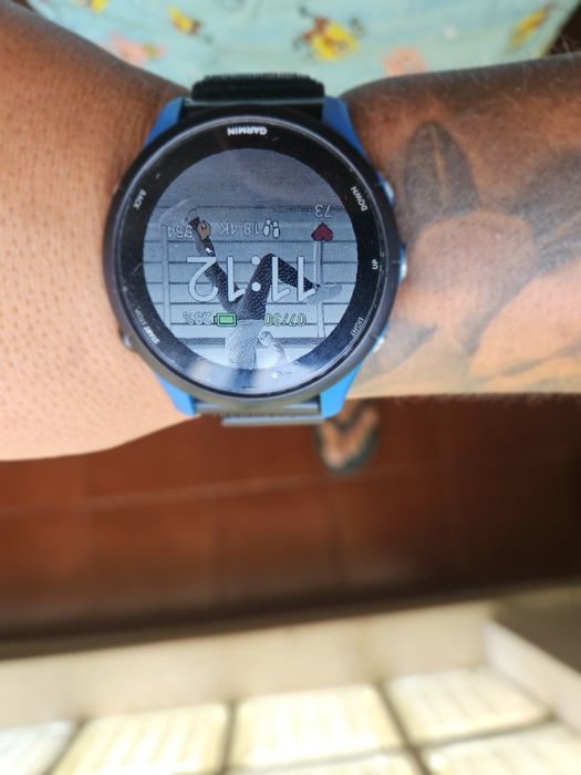 Garmin Forerunner 255