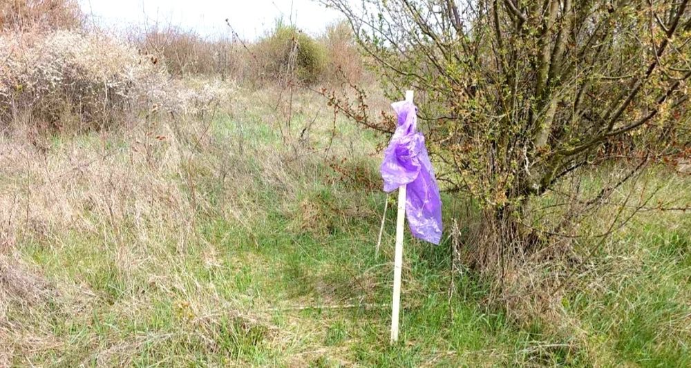 Ділянка в Коритнянах, 8 соток 6000$