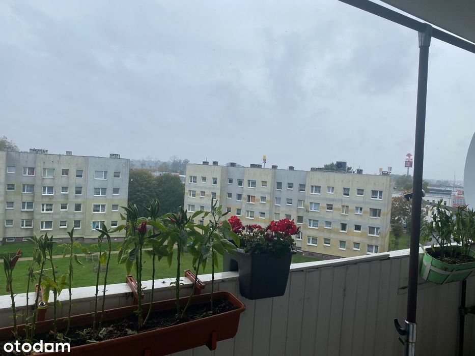 Sprzedam mieszkanie
