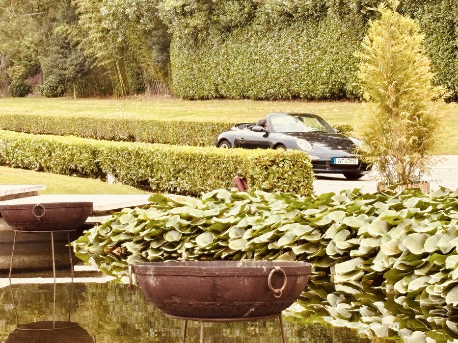 Aluguer carros para eventos ou casamentos