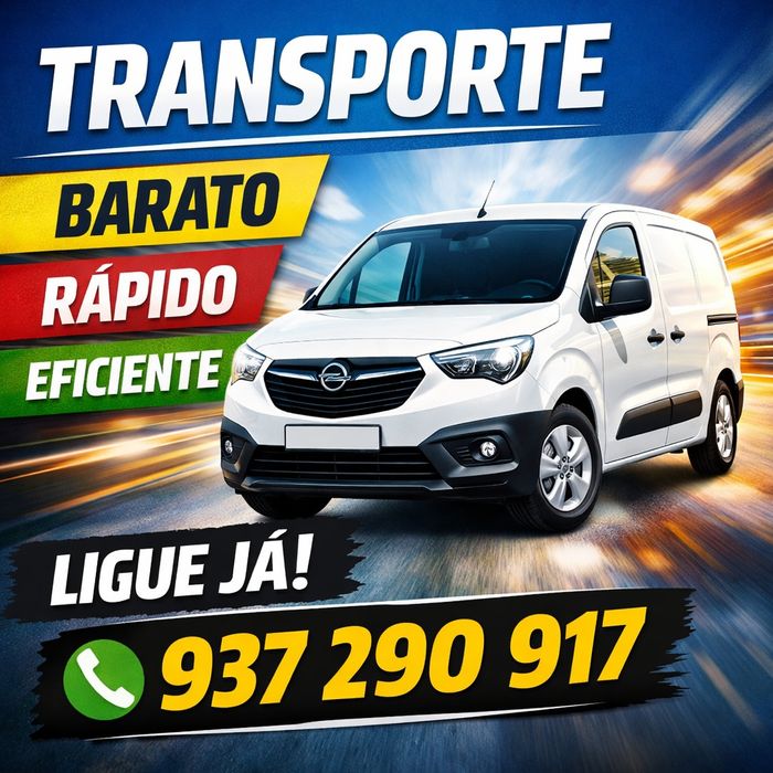 Serviço de Transporte Profissional