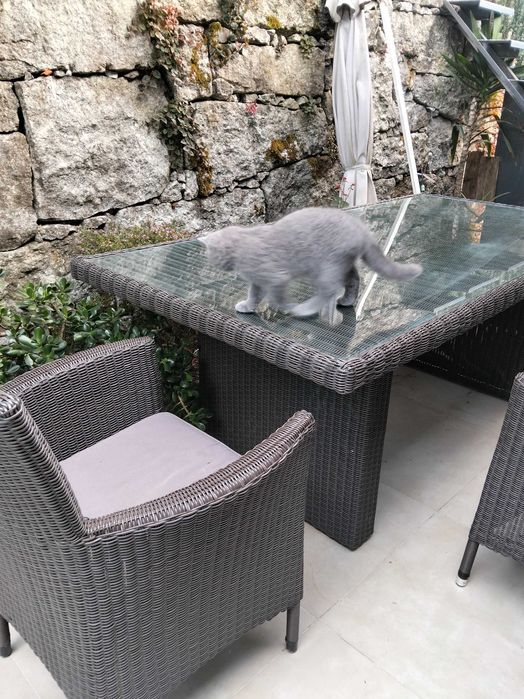 Mesa de jardim com 2metros por 1metro com 4 cadeiras como novo