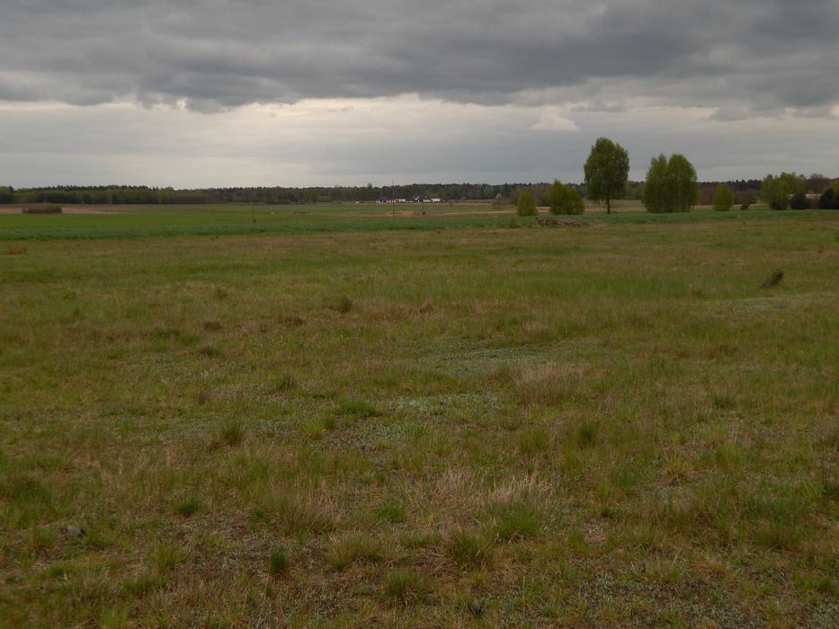 Działka Rekreacyjno - Budowlana (prąd, gaz )  1500 m2 W.Z.