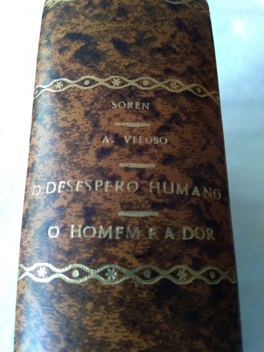 O Desespero Humano de Sören Kierkegaard e O Homem em Face da Dor, de Agostinho Veloso, S.J.