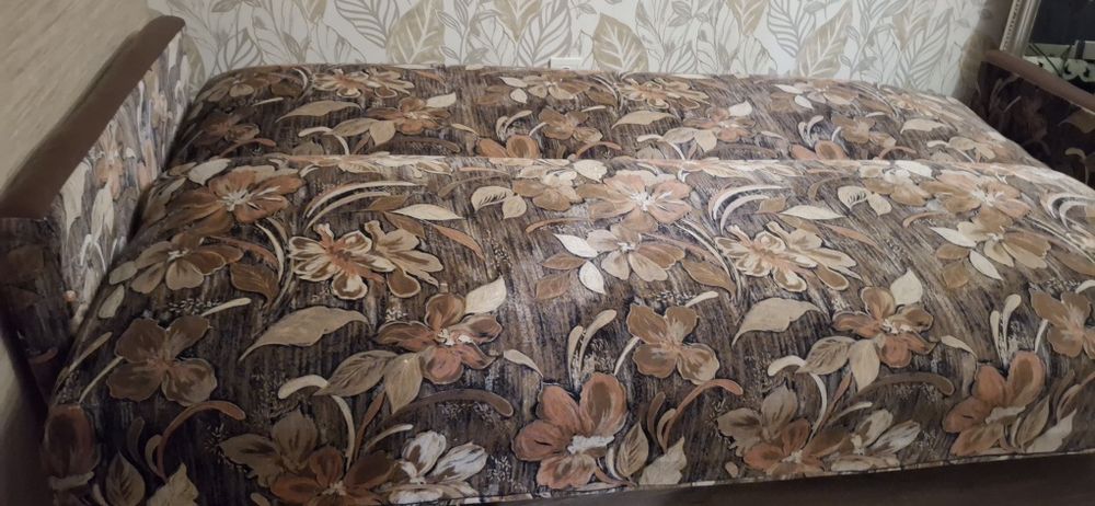 Диван -книжка ,покрытие велюровый.