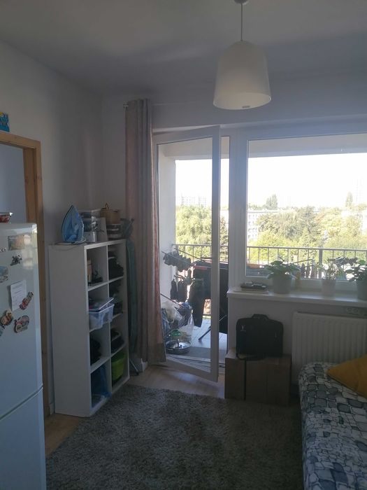 Mieszkanie 3 pokoje/bezpośrednio/Pilsudskiego/Rataje/tereny zielone