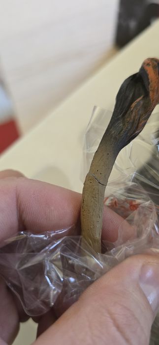 Wiedźmin 3 Edycja kolekcjonerska PS4