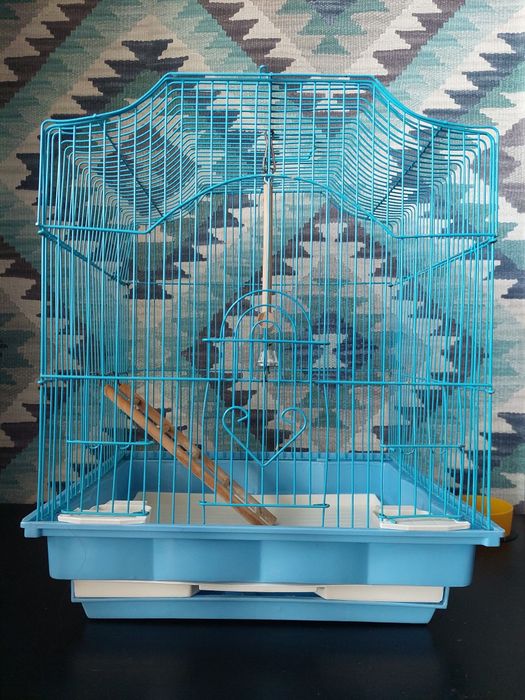 Клітка для папуги