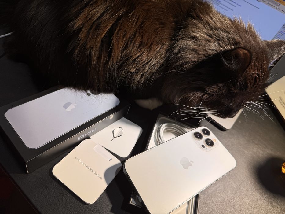 iPhone 13 Pro Max 256 Гб