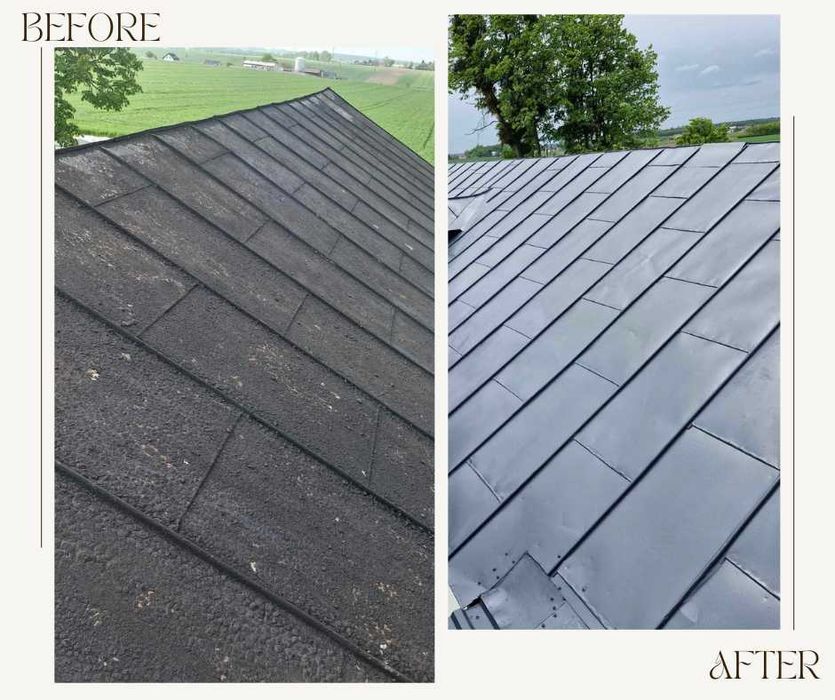 Mycie i malowanie dachów