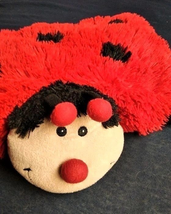 Puchata duża biedronka ozdoba poduszka