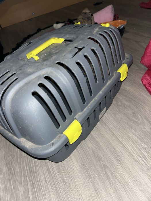 Caixa de Transporte para Gato