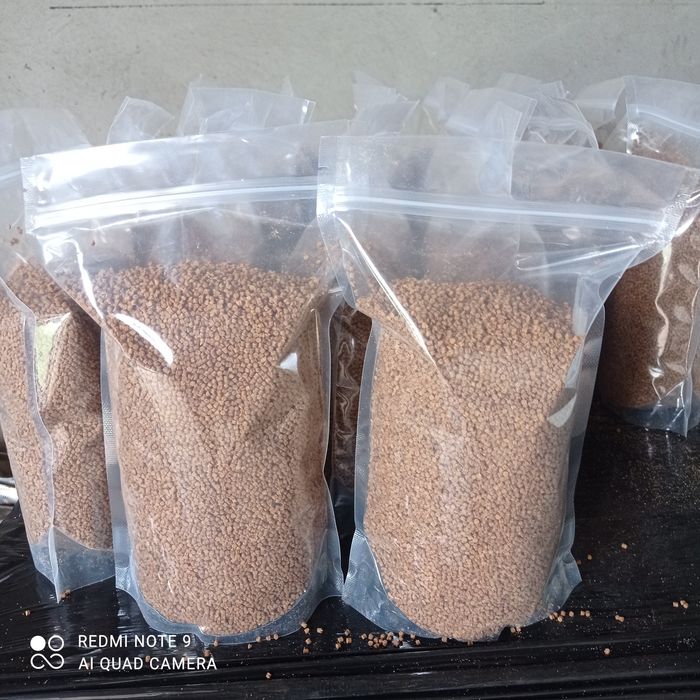 Kukurydza wędkarska gotowana oraz pellet aller i skretting