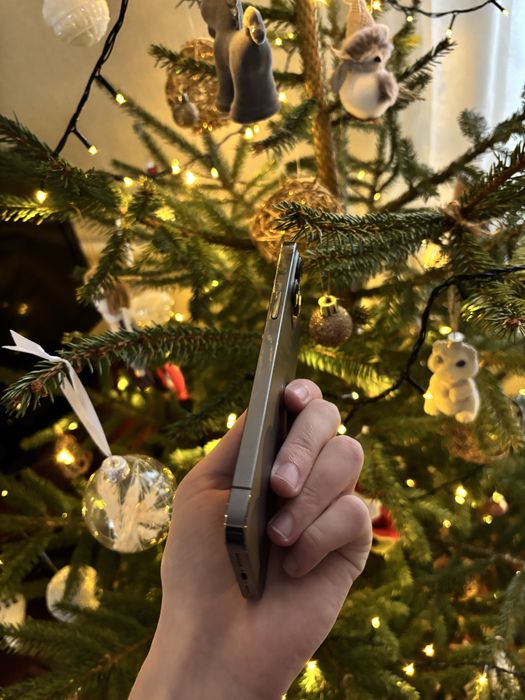 iphone 12 pro max 256