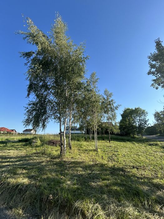 Dzialka budowlana 12,7a z pozwoleniem na budowe - Widok 2