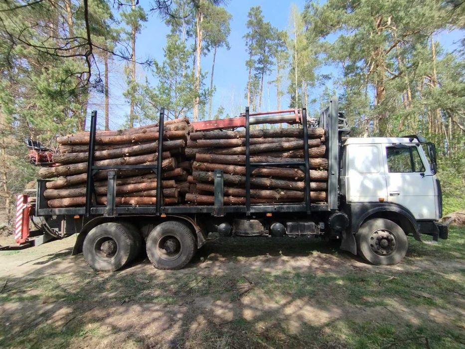 Лісовоз маніпулятор, лесовоз манипулятор