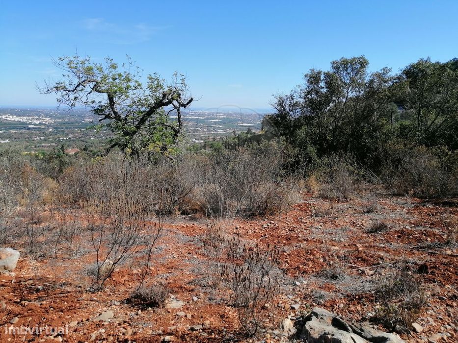 Terreno  para venda