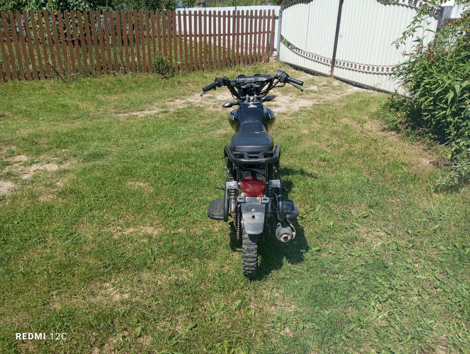 Мустанг дінго 125