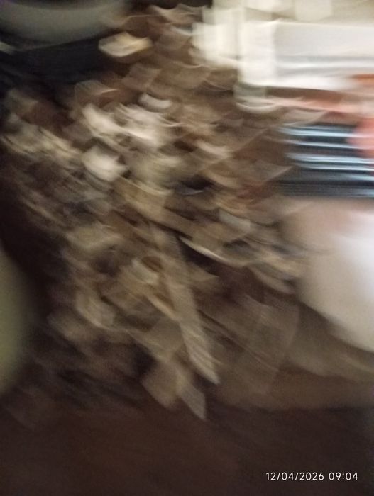 Lote de grampos para desocupar