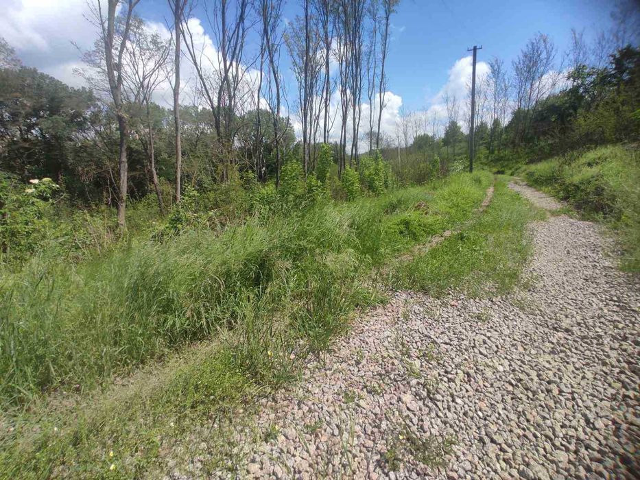 Земельна ділянка під базу відпочинку та інше.1Га біля лісу!Обухівський