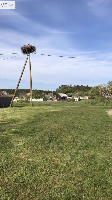 Продаж будинку в с.Журавка, Чернігівська обл., Прилуцький р-н