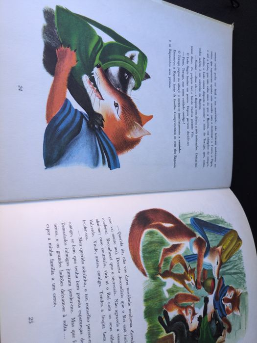 O Romance da Raposa de Pierre Servais