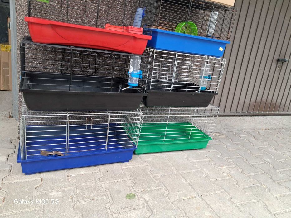 Klatka dla świnki morskiej