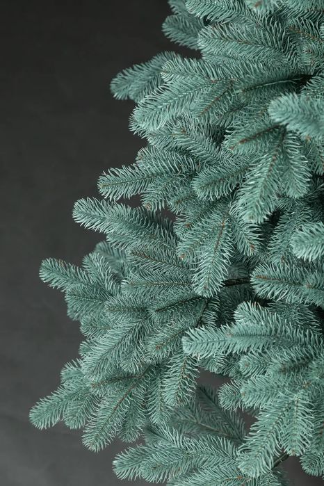 Ялинка Лита Ковалівська елітна блакитна 2,30 м.