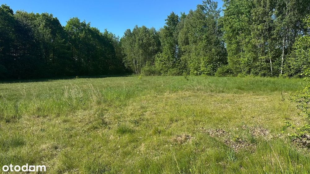 Działka idealna pod 3 wolno-stojące domy lub PARKING! - Widok 5