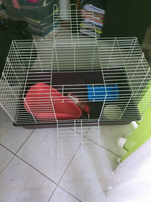 Gaiola e acessórios de coelho