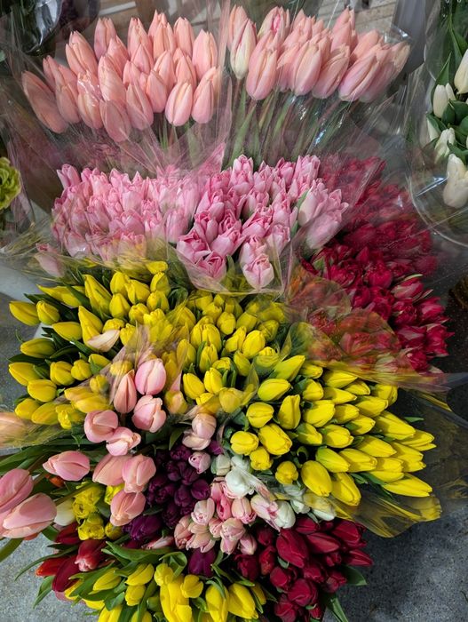 Тюльпан оптом від виробника  (опт роздріб) доставка квітів Полтава