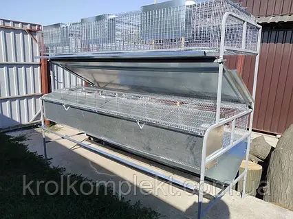 Клітка для кролів