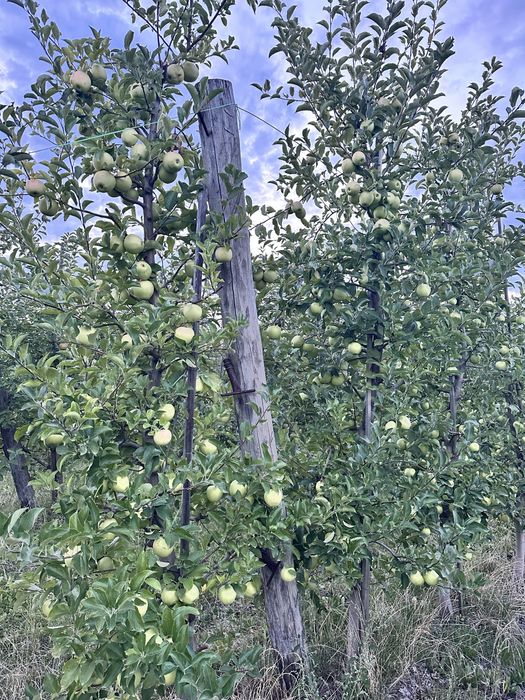 Продам діючий бізнес