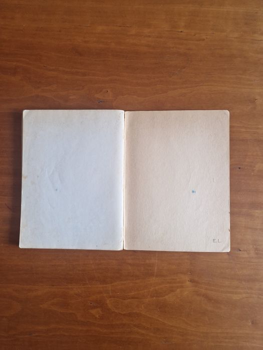 Livro "Frei Luís de Sousa", Almeida Garrett