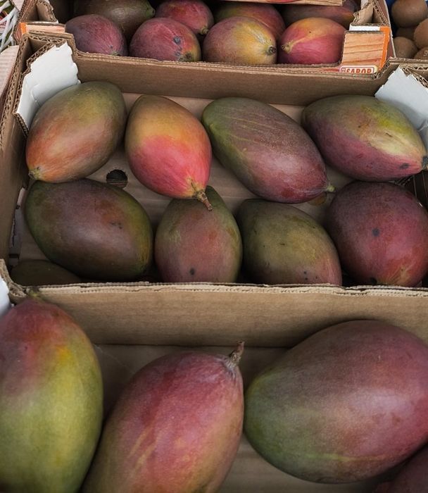 Caixas de mangas deliciosas para entregas