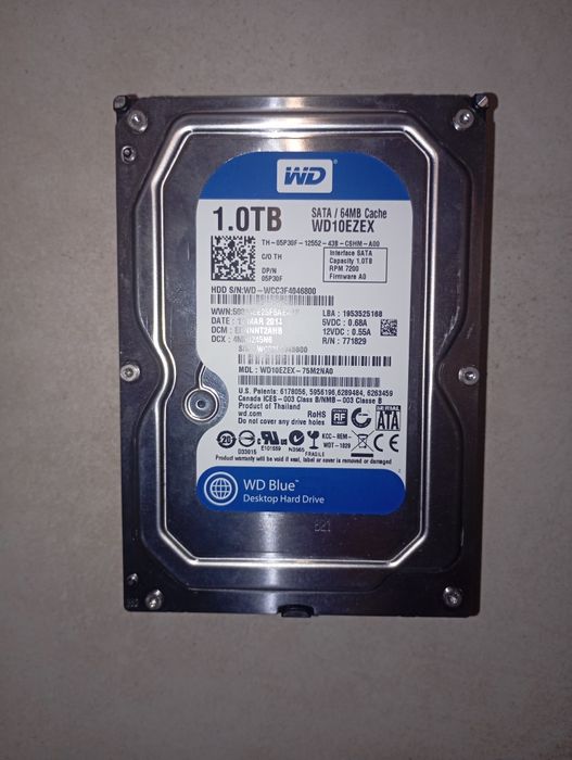 Dysk HDD WD blue 1tb