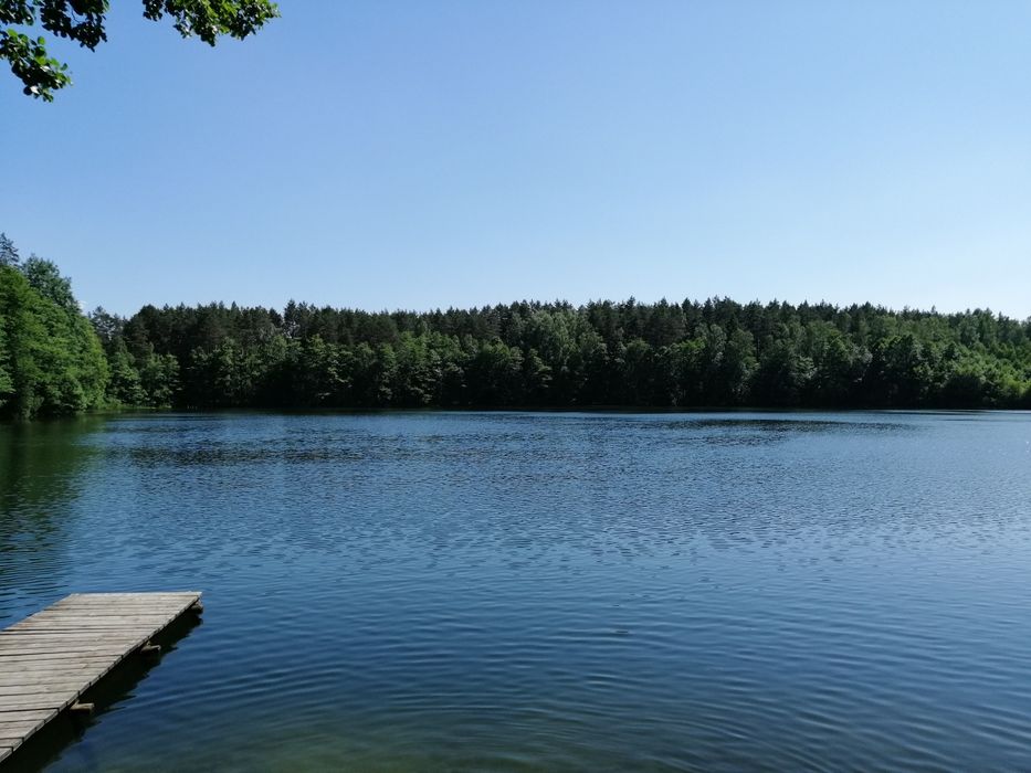 Świerkocin domek letniskowy sauna