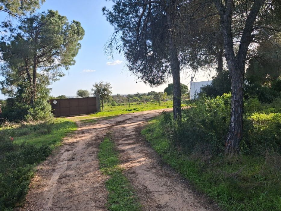 Terreno Rústico em Santa Bárbara De Nexe, com vista mar. .