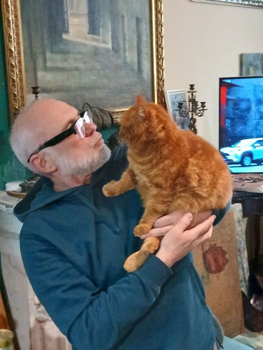 Передержка кошек и собак