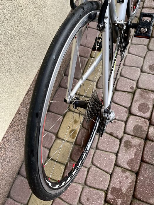 rower miejsko-szosowy Gazelle SPN 3