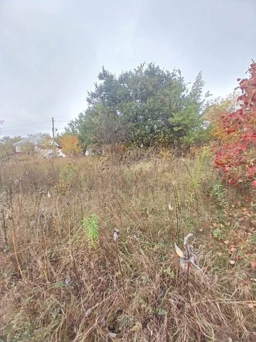 Ціна - подарунок за 6.5 соток під Києвом / с. Петрушки