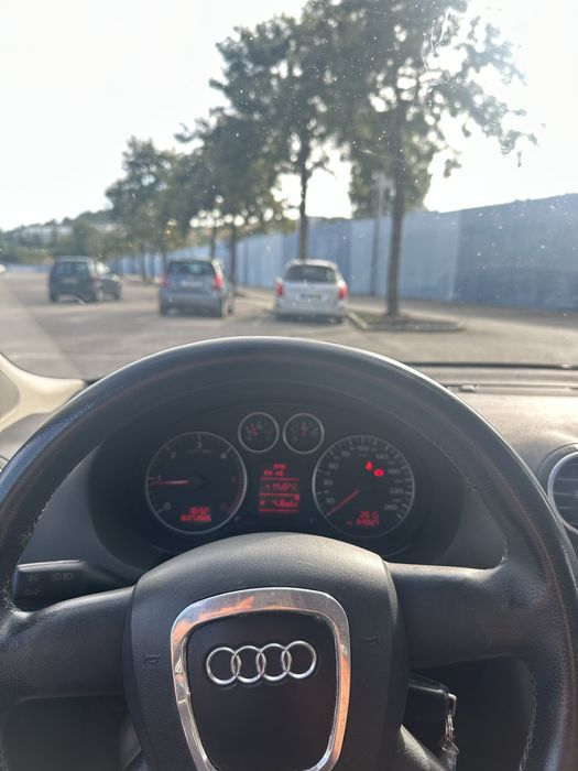 Audi A3 Sportback 1.9 TDI (8P)