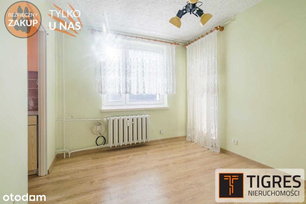 Zdjęcie 6