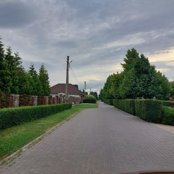 Продам земельну ділянку с. Зернове