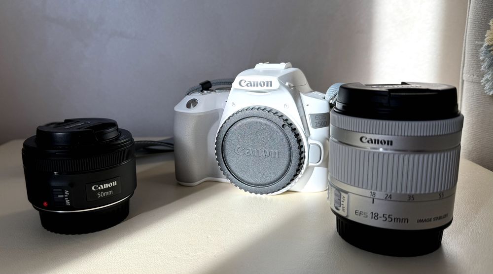 Камера Canon EOS 250D +EF-S 18-55mm f/4-5.6 IS STM +EF 50mm f/1.8 STM