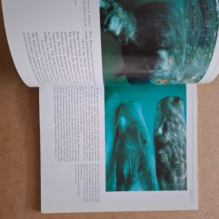 "Seasons of the Whale" de Erich Hoyt