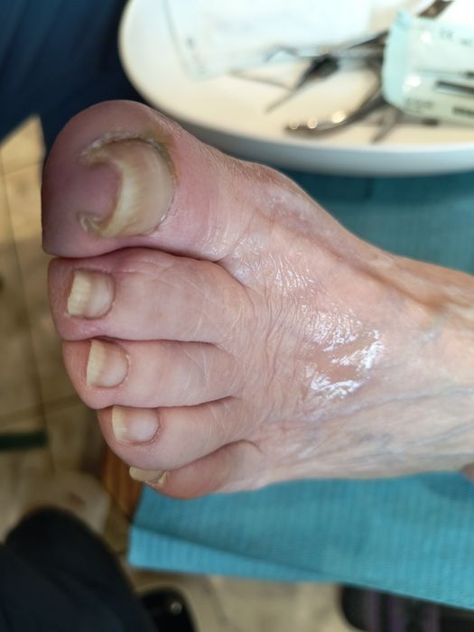 Mobilny Podolog na teranie Poznania i okolic